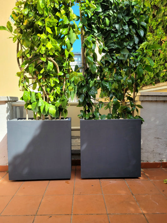 Fioriera Grigio Antracite