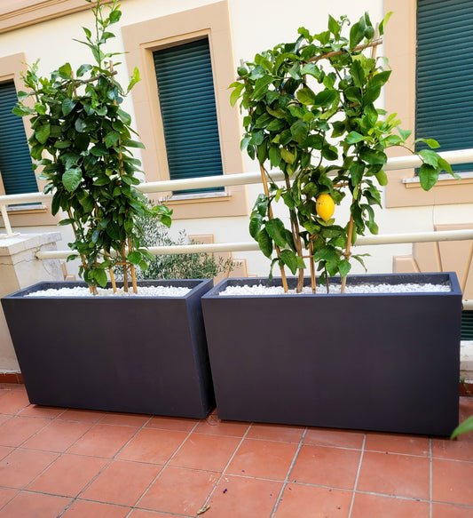 Fioriere in Cemento da Esterno Grigio Antracite Design Moderno e Su  Misura